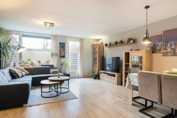 Sipohout - Zoetermeer