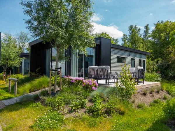 Veneweg - Wanneperveen